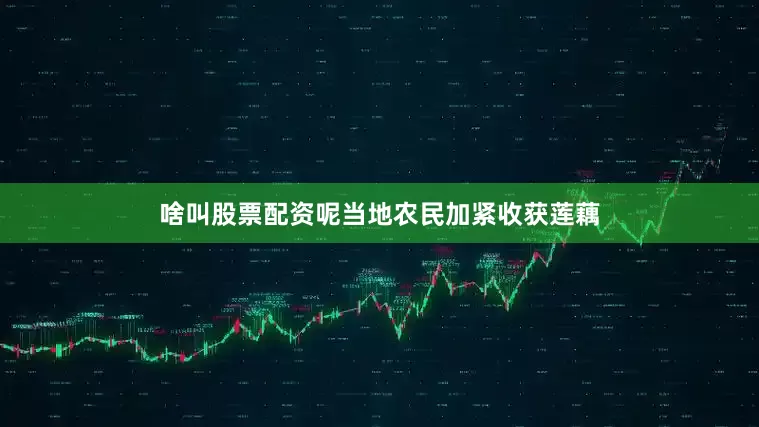 啥叫股票配资呢当地农民加紧收获莲藕