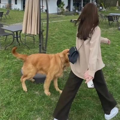 落日孤影